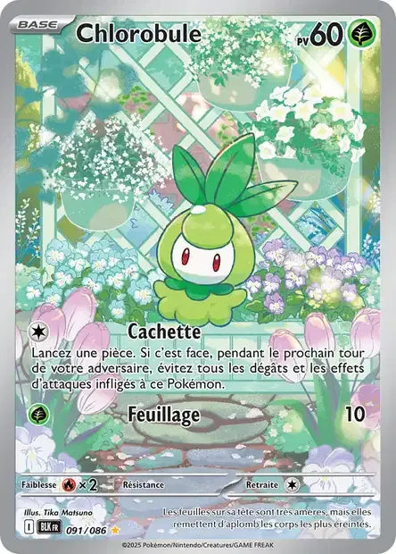 091/086 Chlorobule AR - Foudre Noire