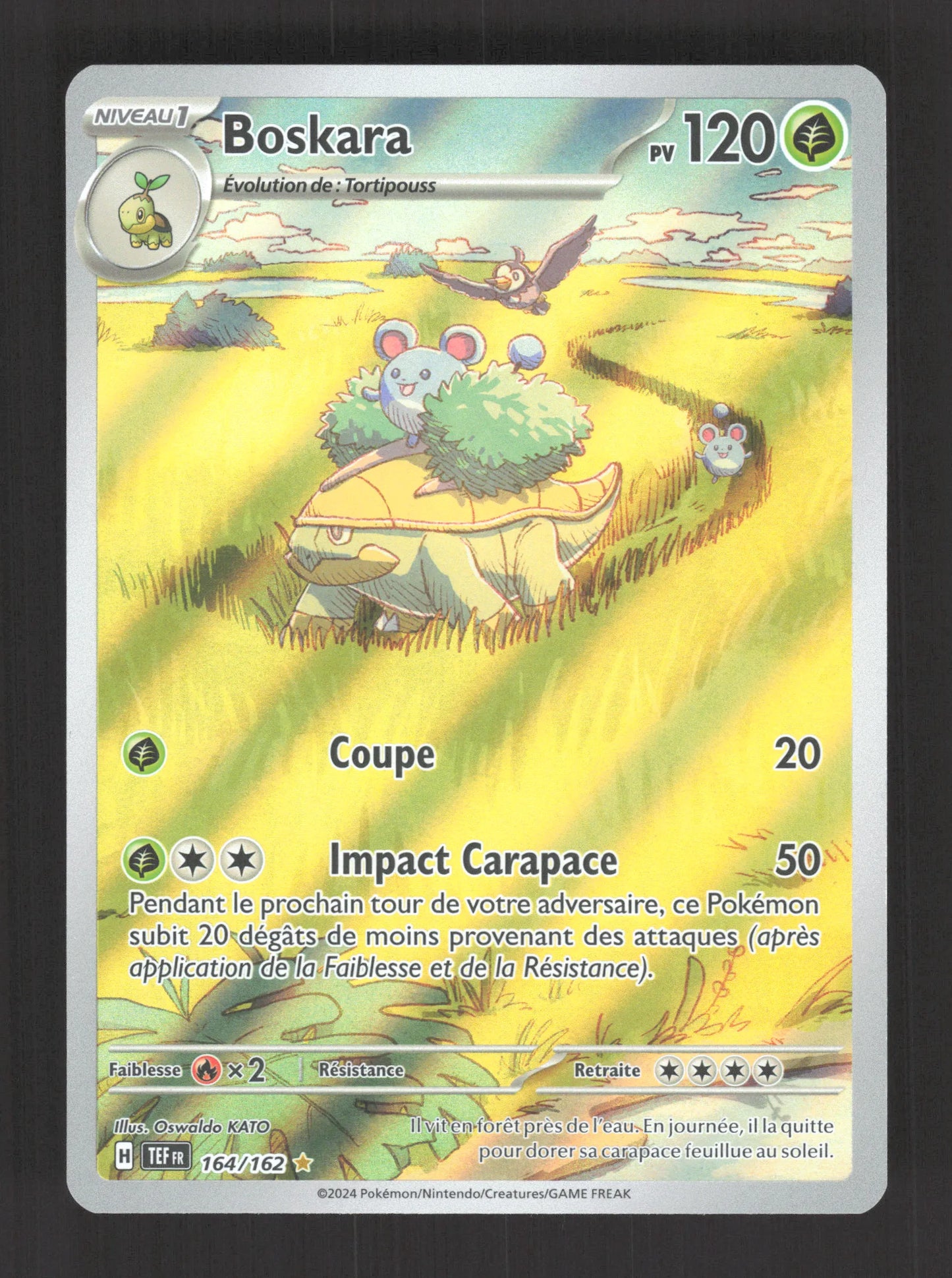 164/162 Boskara AR - Forces Temporelles
