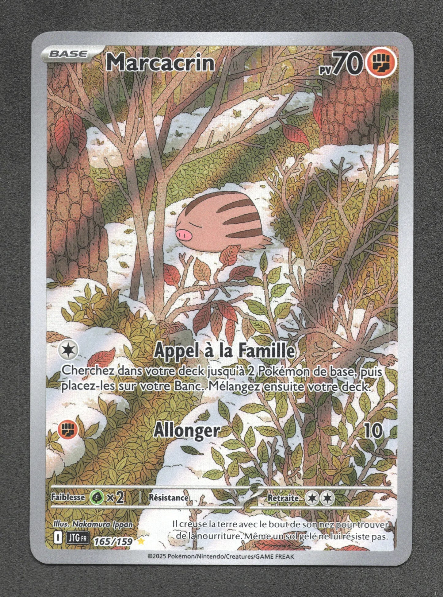 165/159 Marcacrin AR - Aventures Ensemble