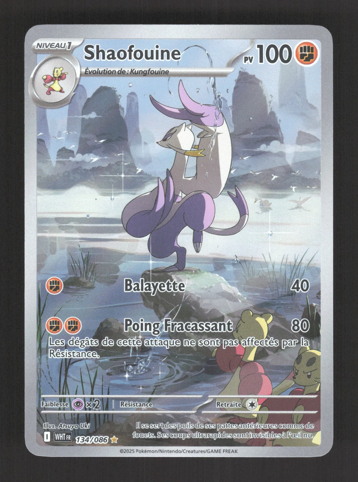 134/086 Shaofouine AR - Flamme Blanche