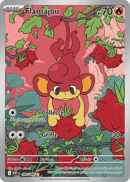 099/086 Flamajou AR - Flamme Blanche