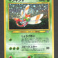 193 Yanma HOLO JP - Crossing the Ruins...