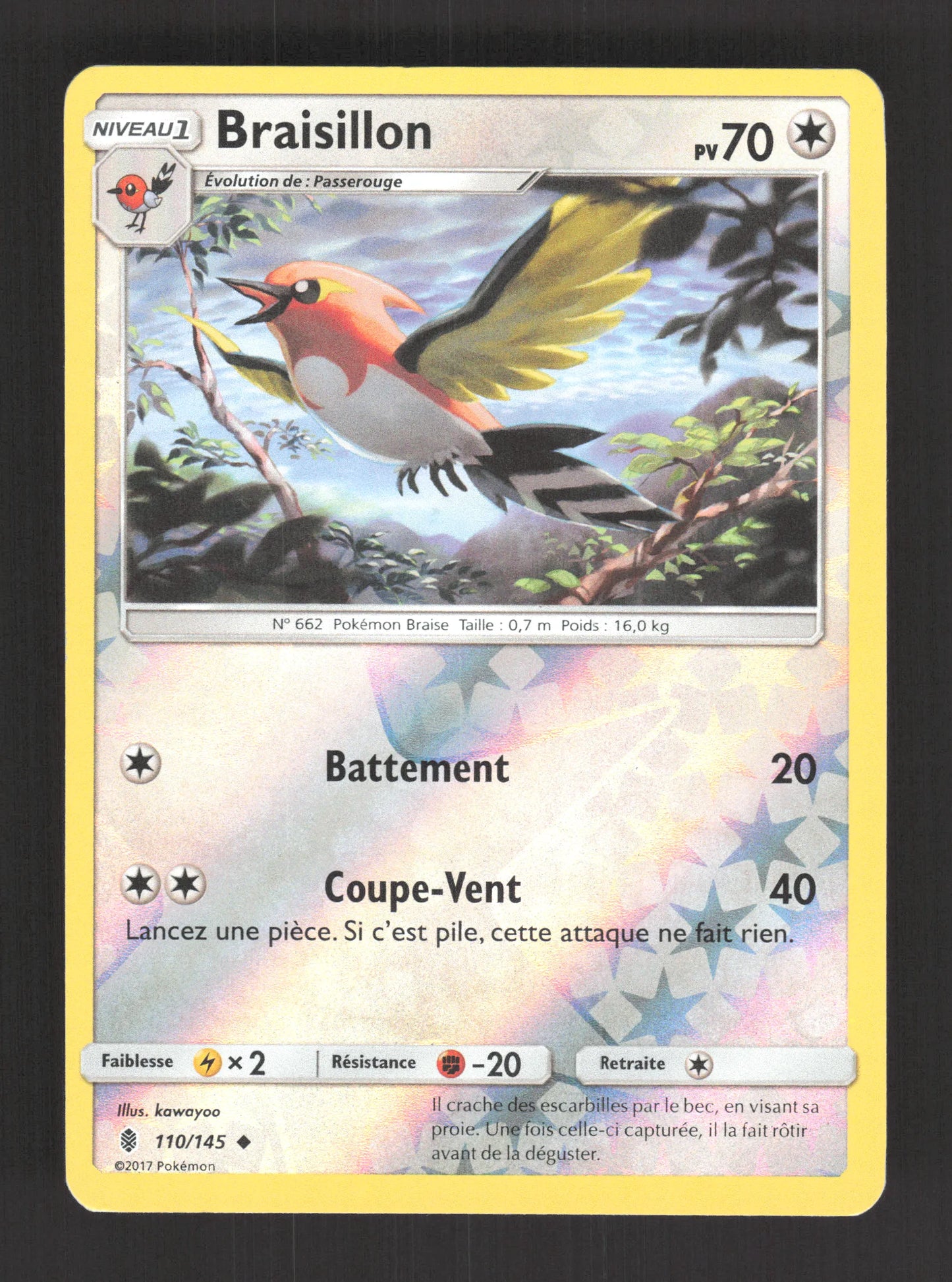 110/145 Braisillon REVERSE - Gardiens Ascendants