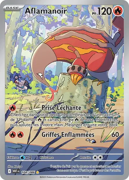 104/086 Aflamanoir AR - Flamme Blanche