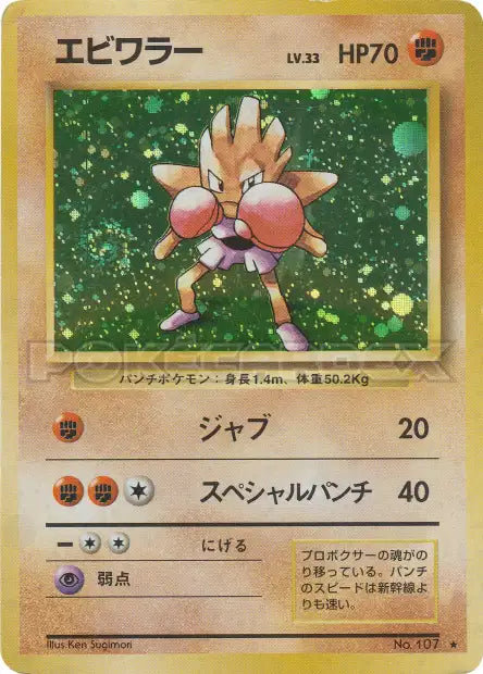 107 Tygnon HOLO JP - Expansion Pack