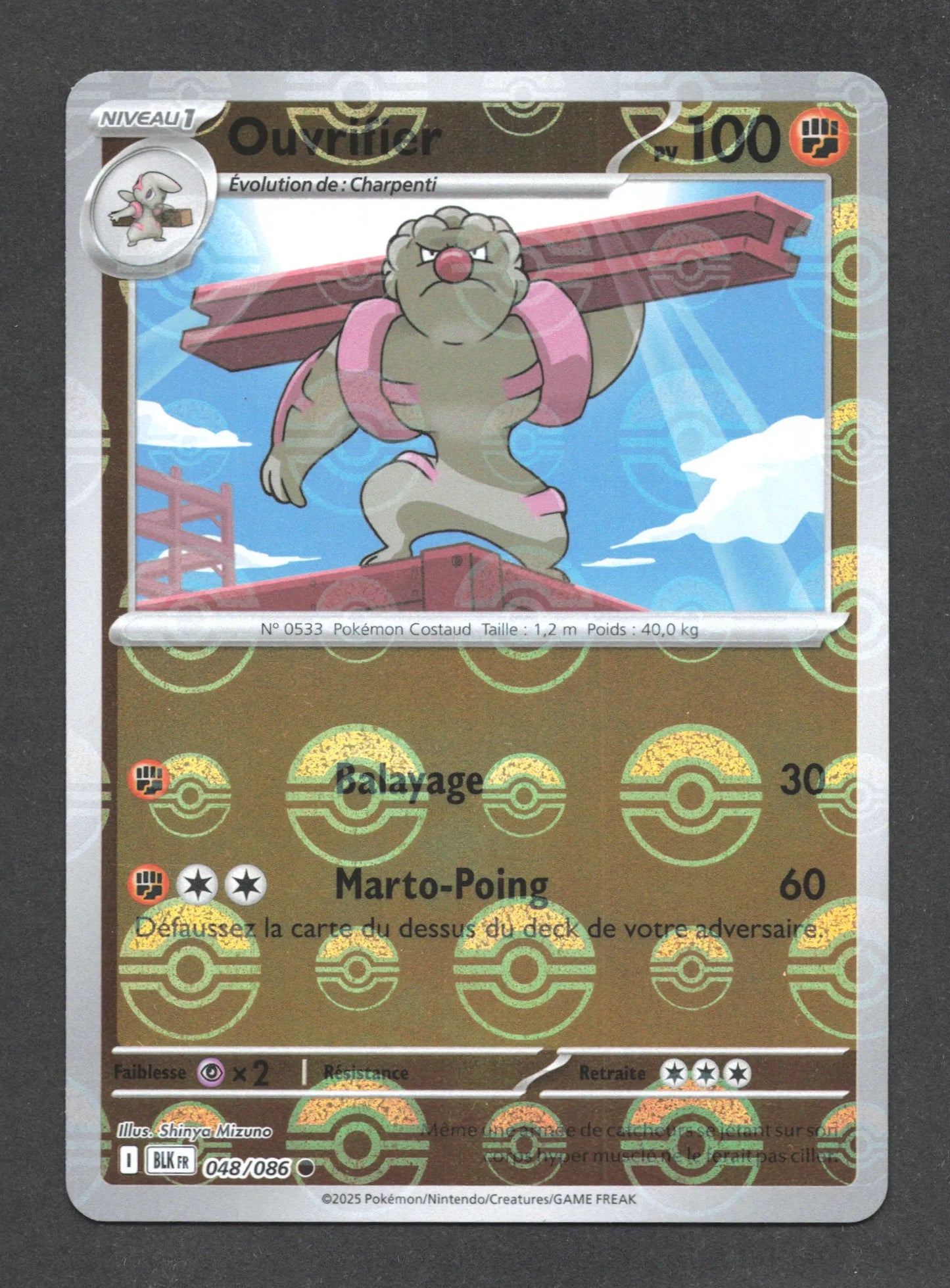 048/086 Ouvrifier POKEBALL - Foudre Noire - Pokeball