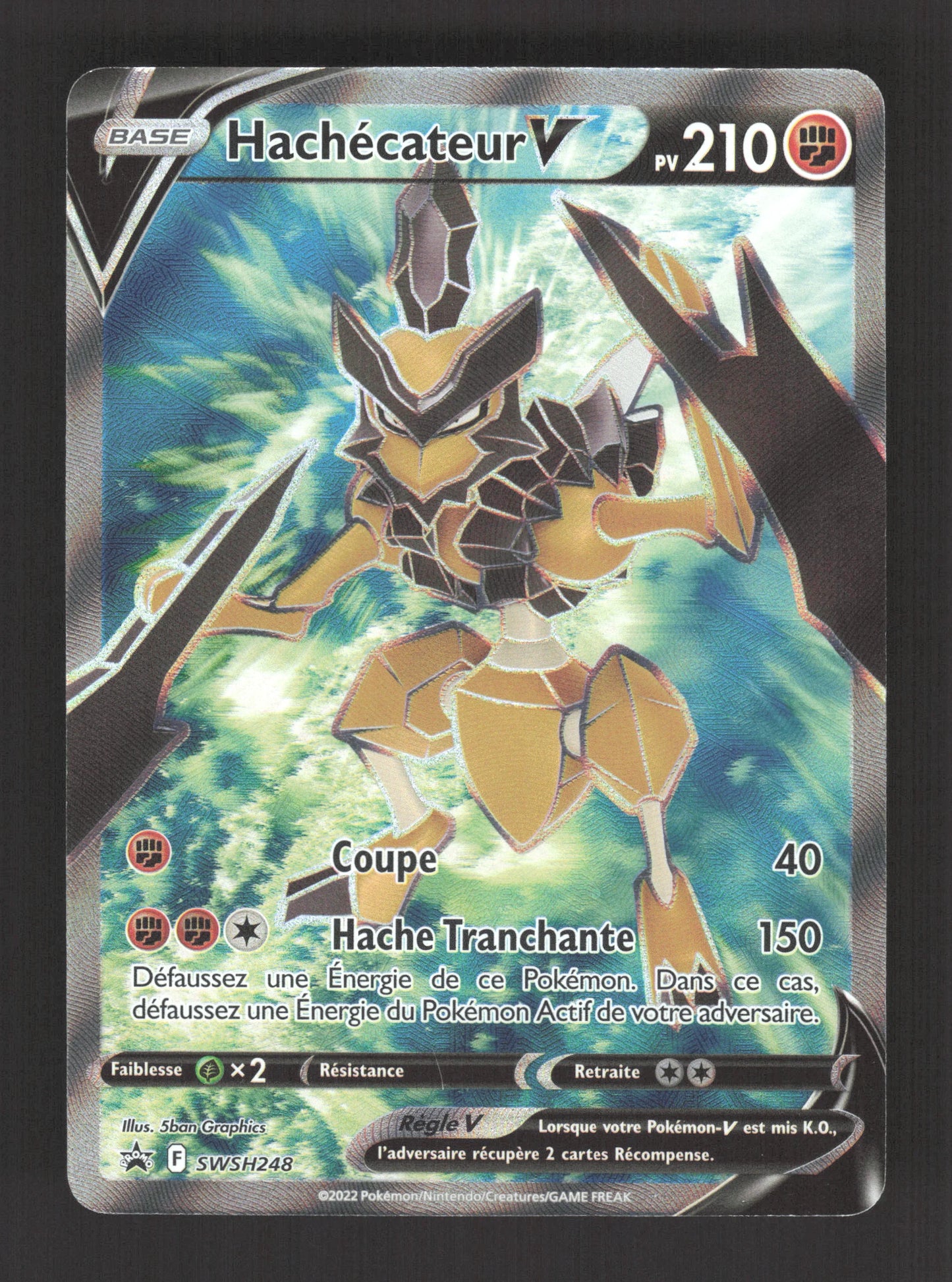 SWSH248 Hachecateur V - Promo SWSH