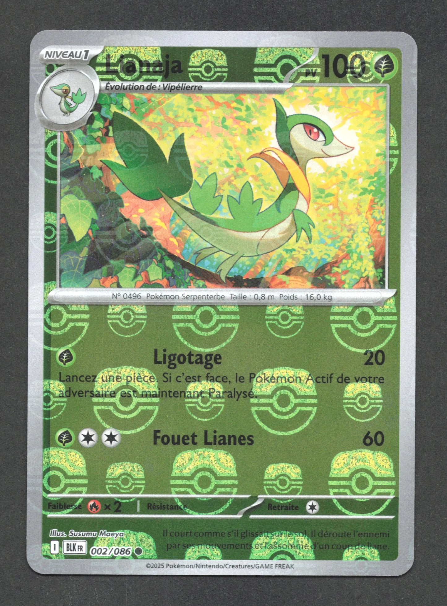 002/086 Lianaja MASTERBALL - Foudre Noire - Masterball