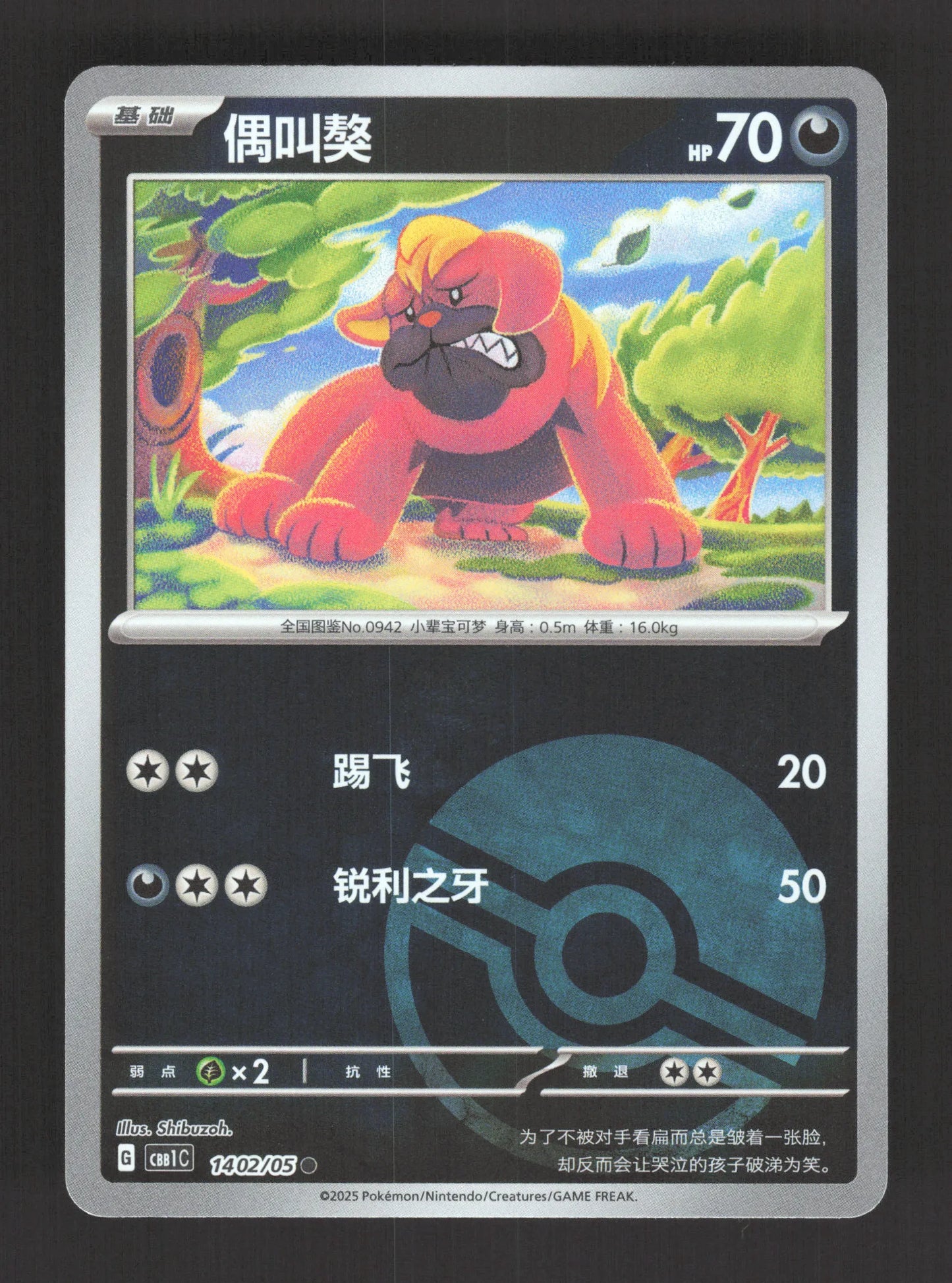 1402/05 Grondogue POKEBALL CN - Chinois