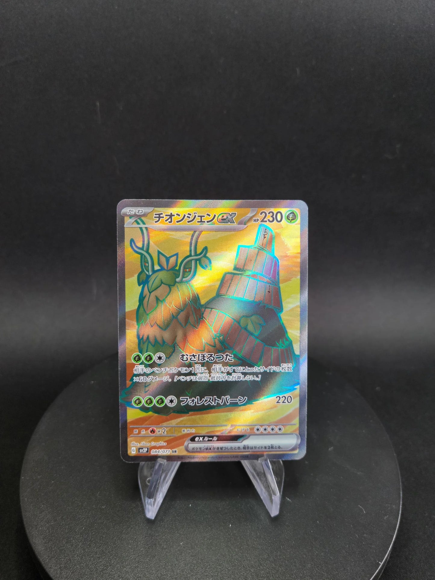084/071 Chongjian EX JP - Snow Hazard