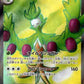 111/098 Arboliva EX JP - Glory of the Team Rocket