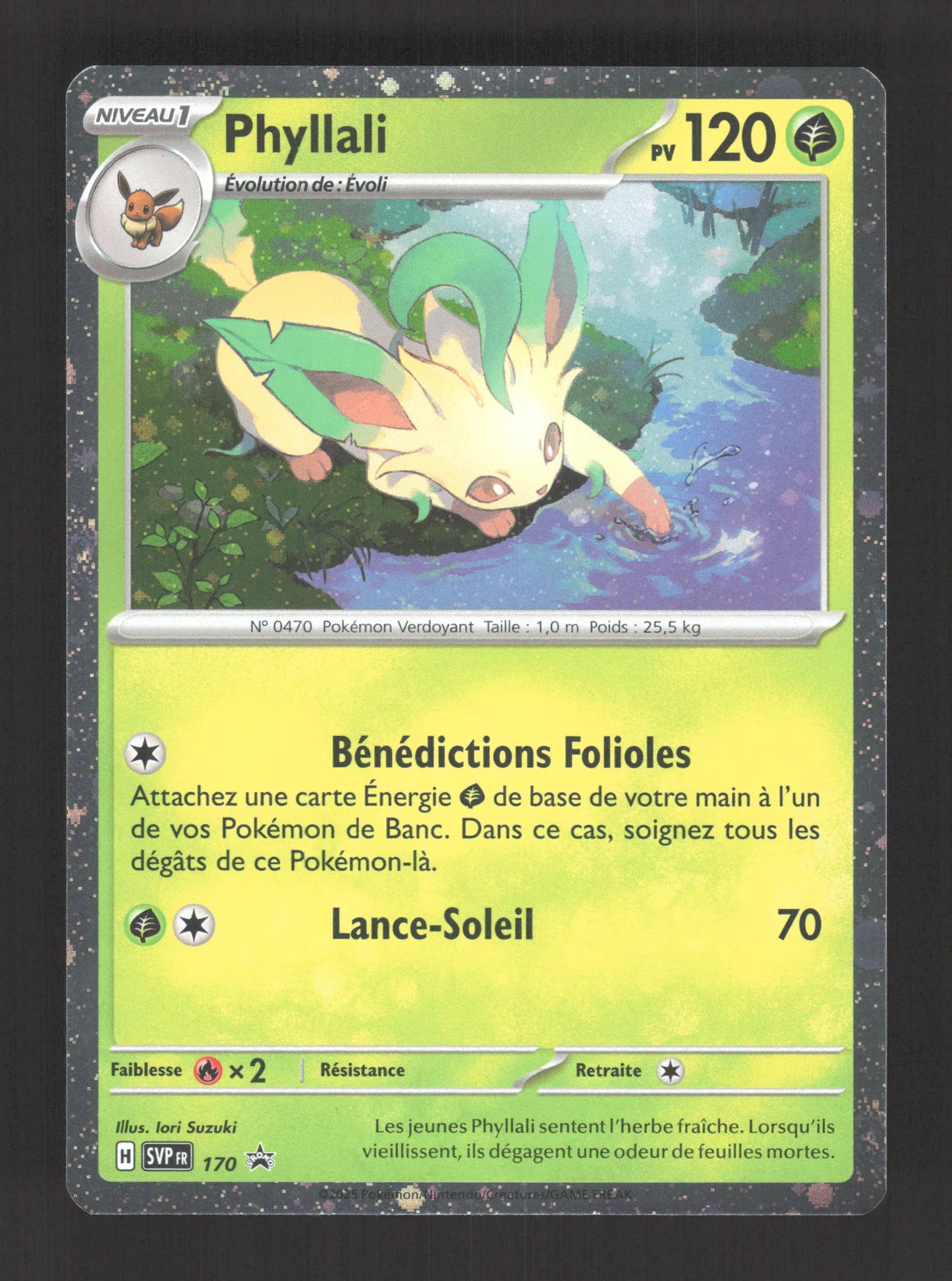 SVP170 Phyllali HOLO - Promo SV