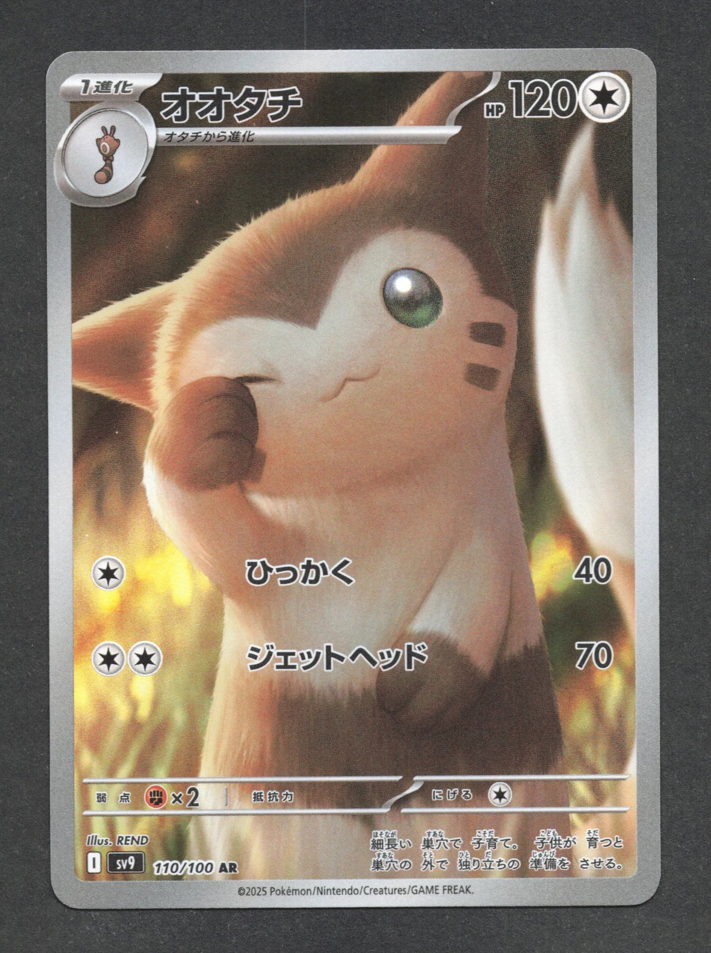 110/100 Fouinar AR JP - Battle Partners