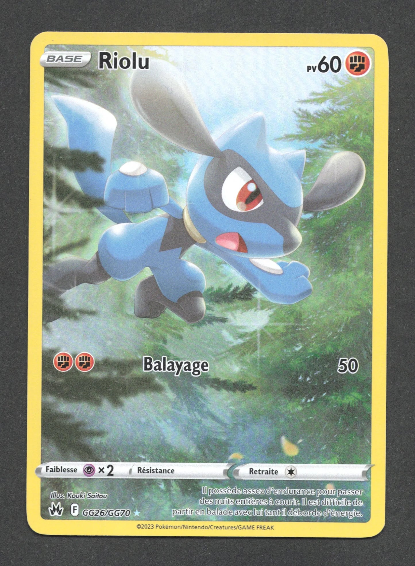GG26/GG70 Riolu GG - Zénith Suprême