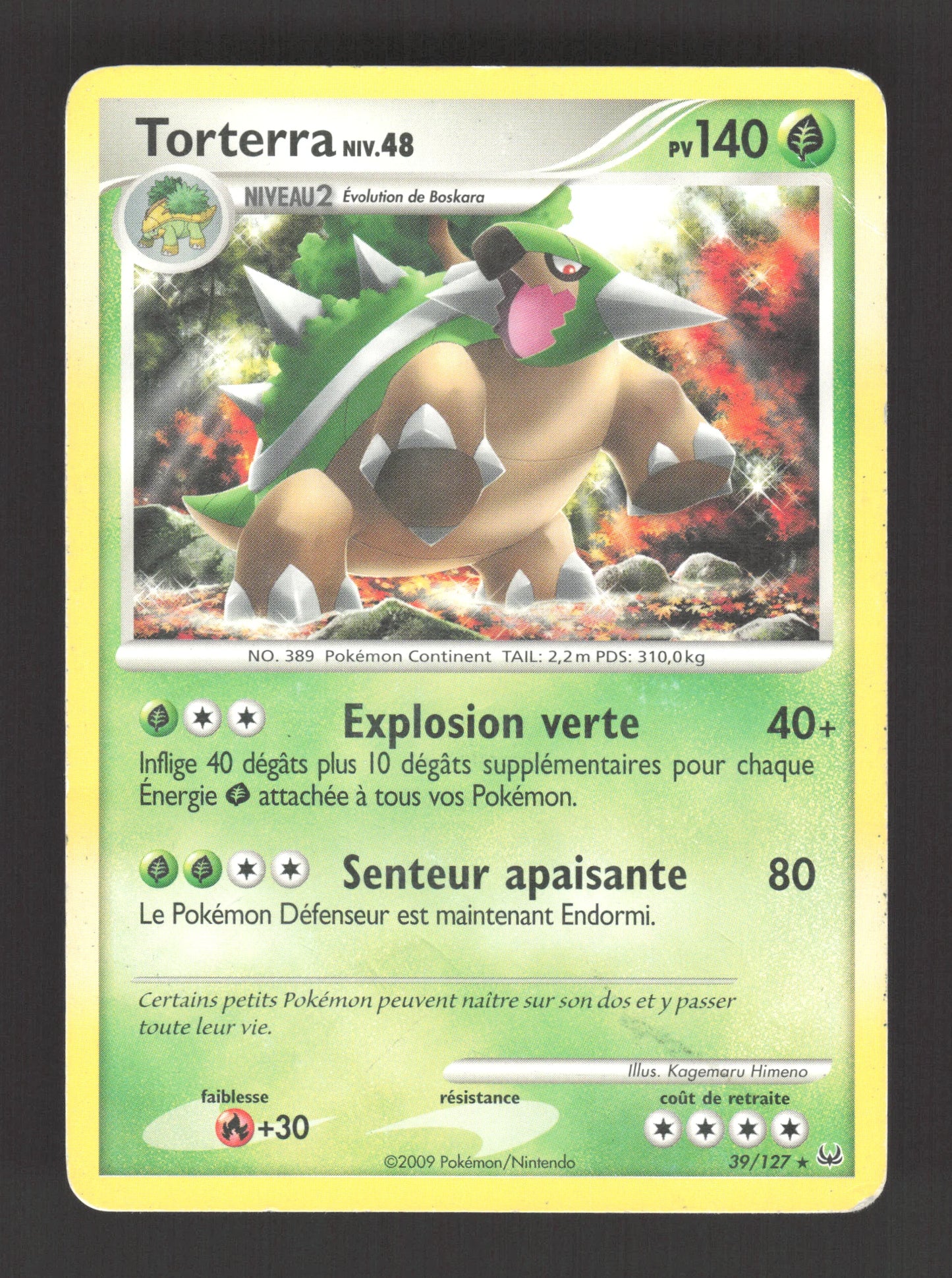 39/127 Torterra RARE - Platine