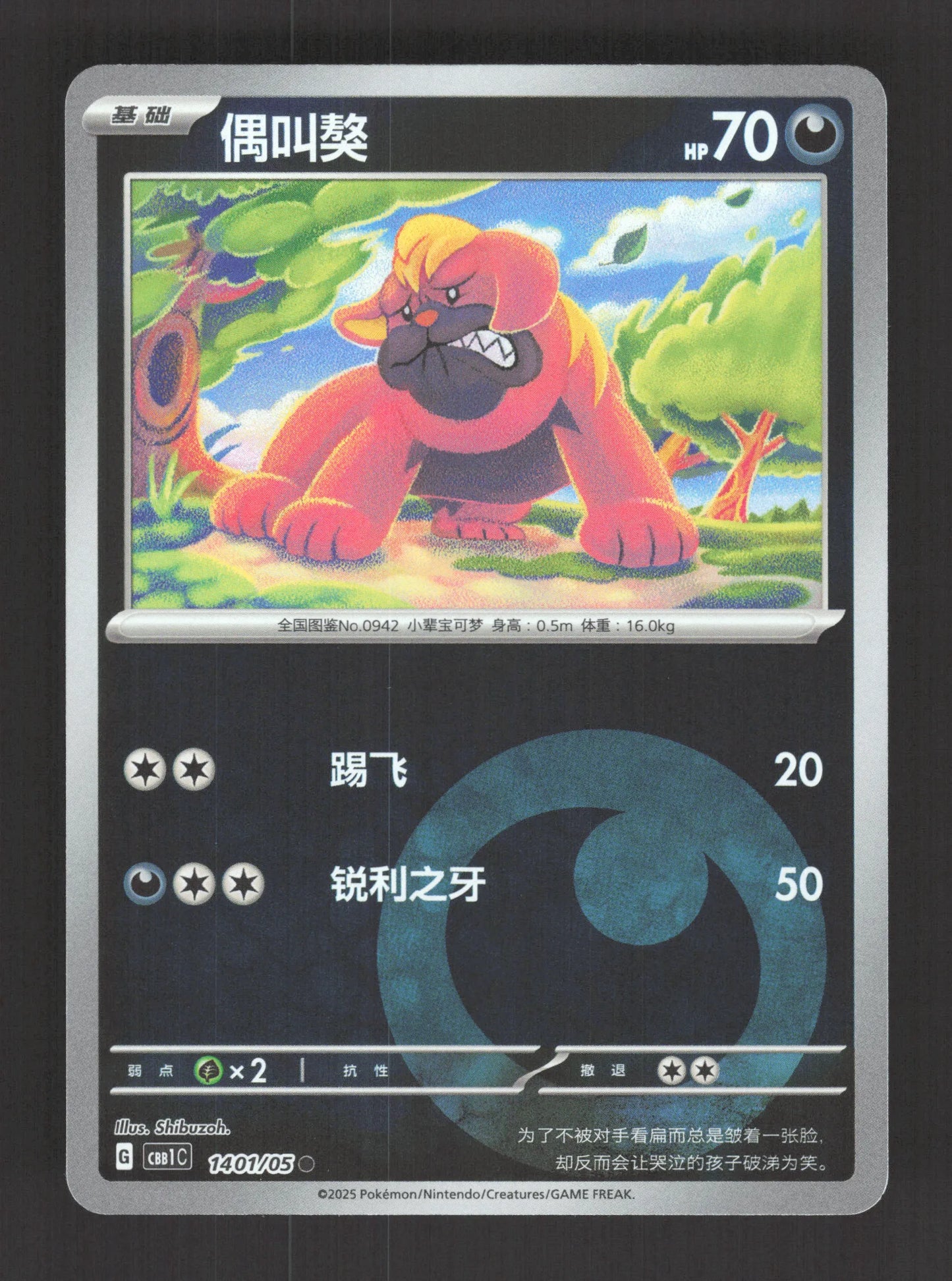 1401/05 Grondogue REVERSE ENERGIE CN - Chinois