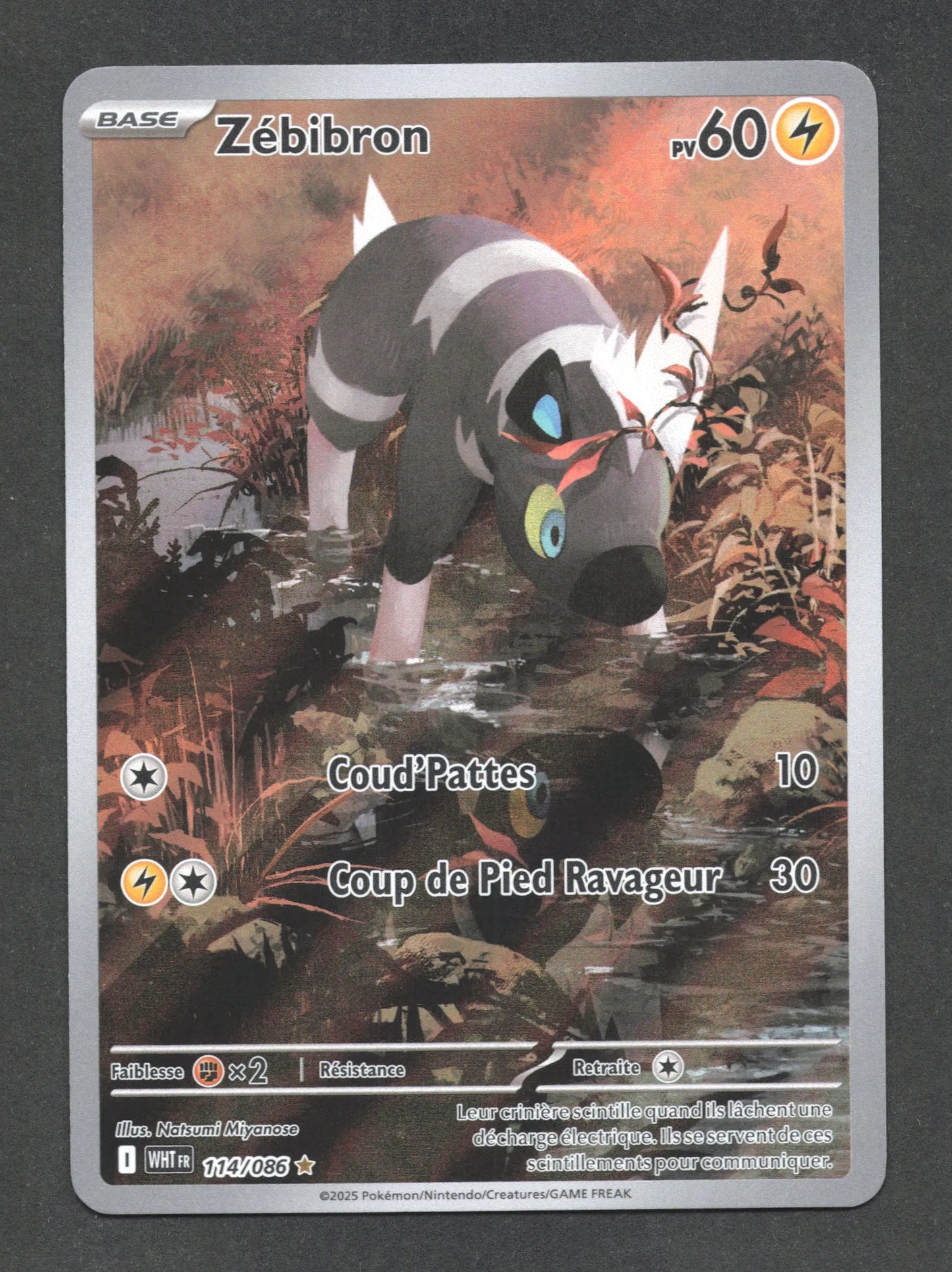 114/086 Zebibron AR - Flamme Blanche