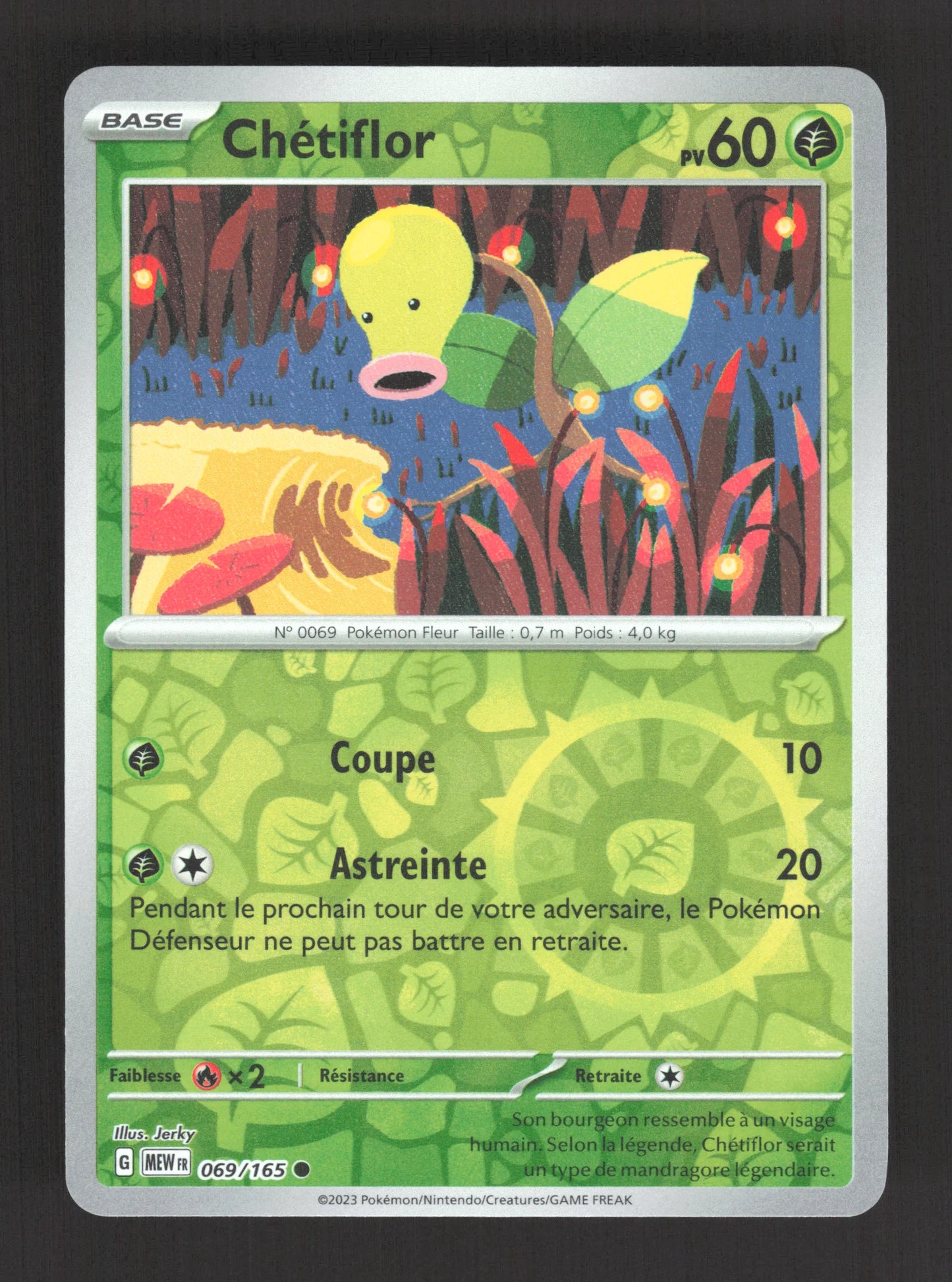 069/165 Chetiflor REVERSE - 151