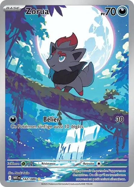 142/086 Zorua AR - Flamme Blanche