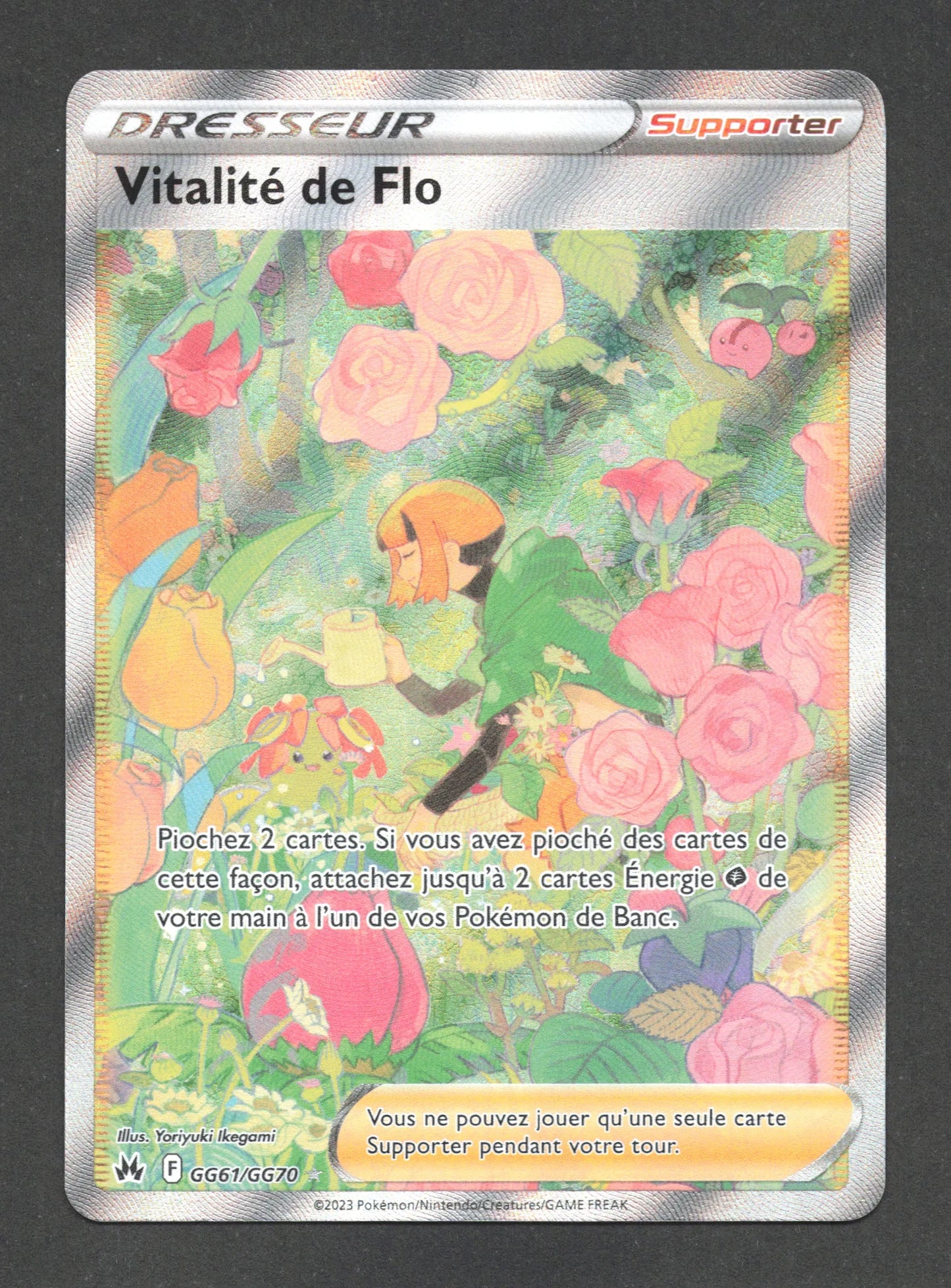 GG61/GG70 Vitalite de Flo DRESSEUR - Zénith Suprême