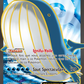 147/160 Wailord EX - Primo-Choc
