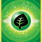 152/159 Energie Plante FA - Zénith Suprême