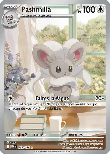 153/086 Pashmilla AR - Foudre Noire