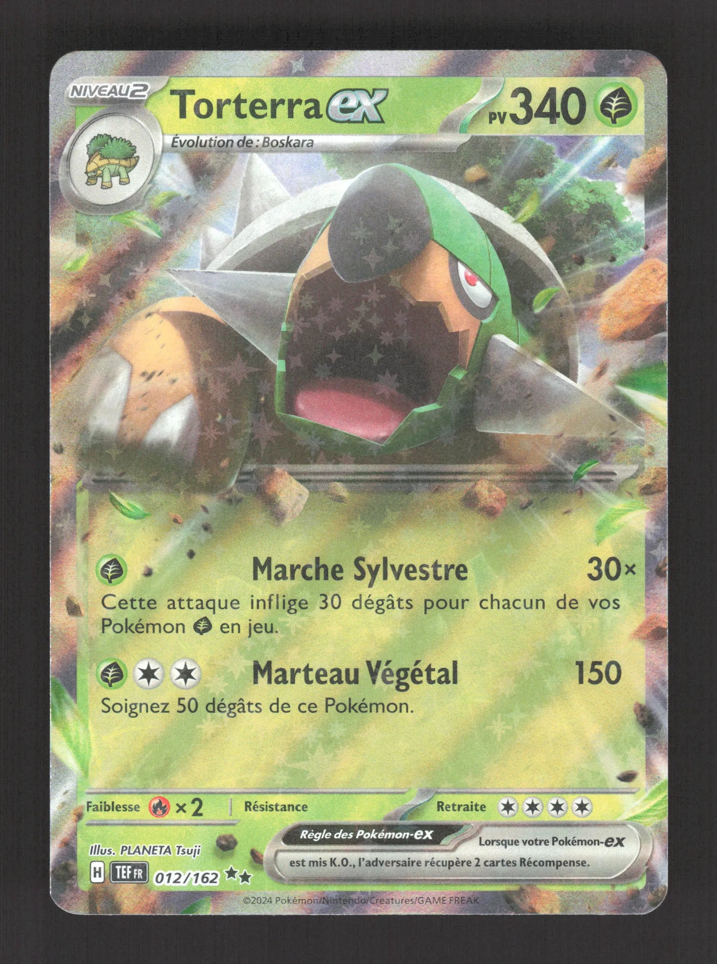 012/162 Torterra EX - Forces Temporelles