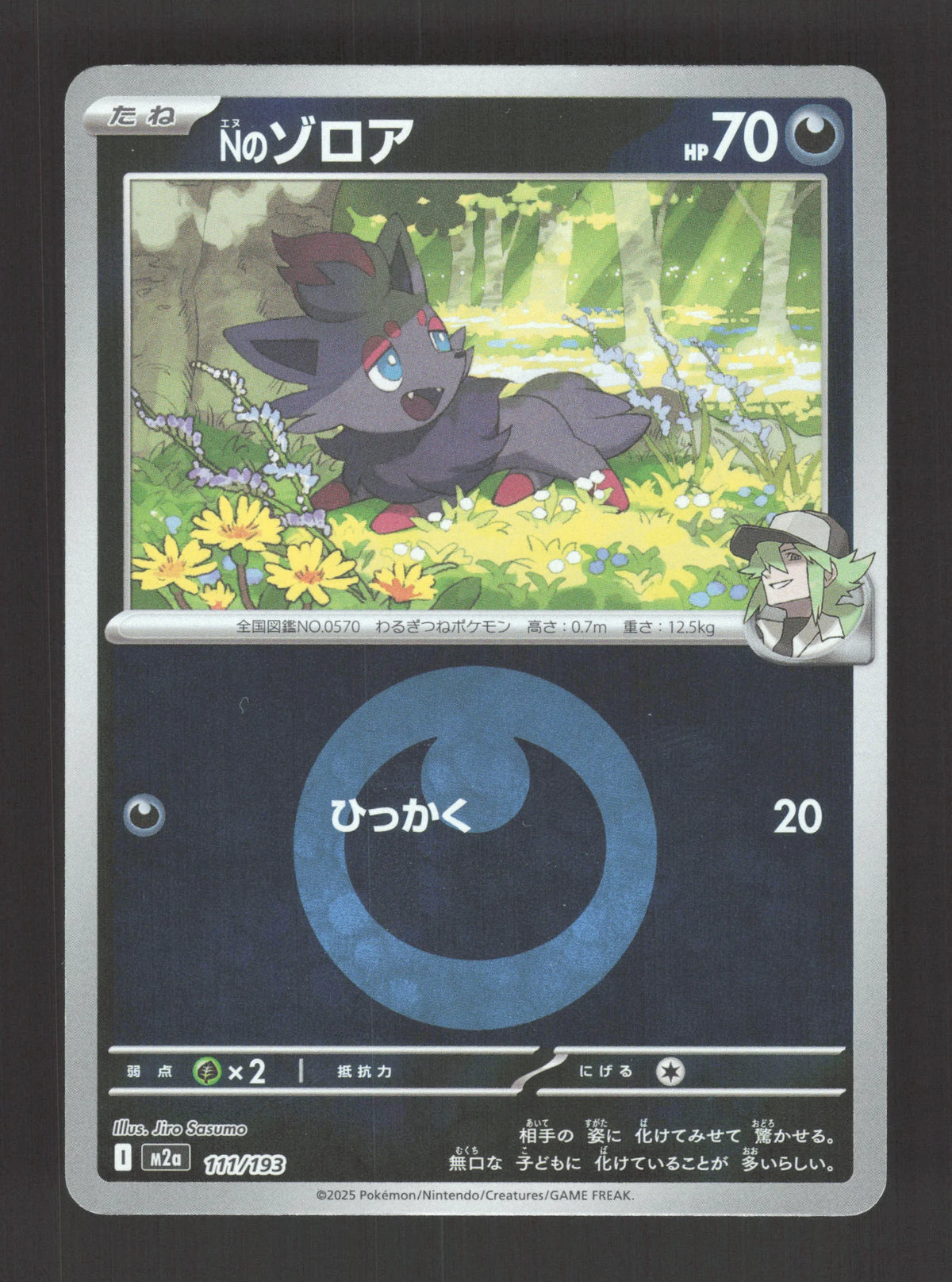 111/193 Zorua REVERSE ENERGIE JP - MEGA Dream ex