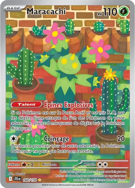 160/159 Maracachi AR - Aventures Ensemble