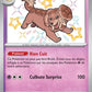 161/091 Briochien SHINY - Destinées de Paldea