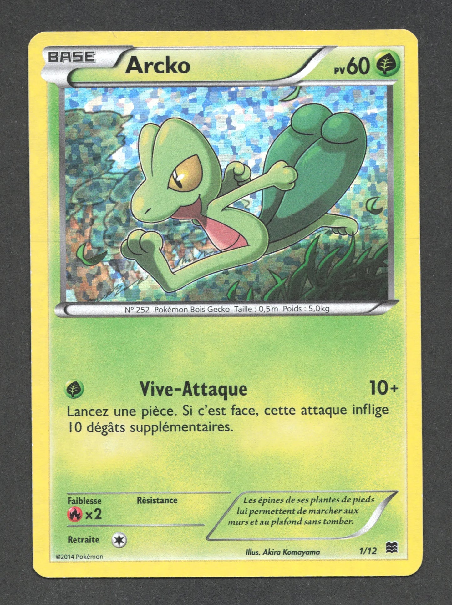 1/12 Arcko HOLO - McDonald's 2015