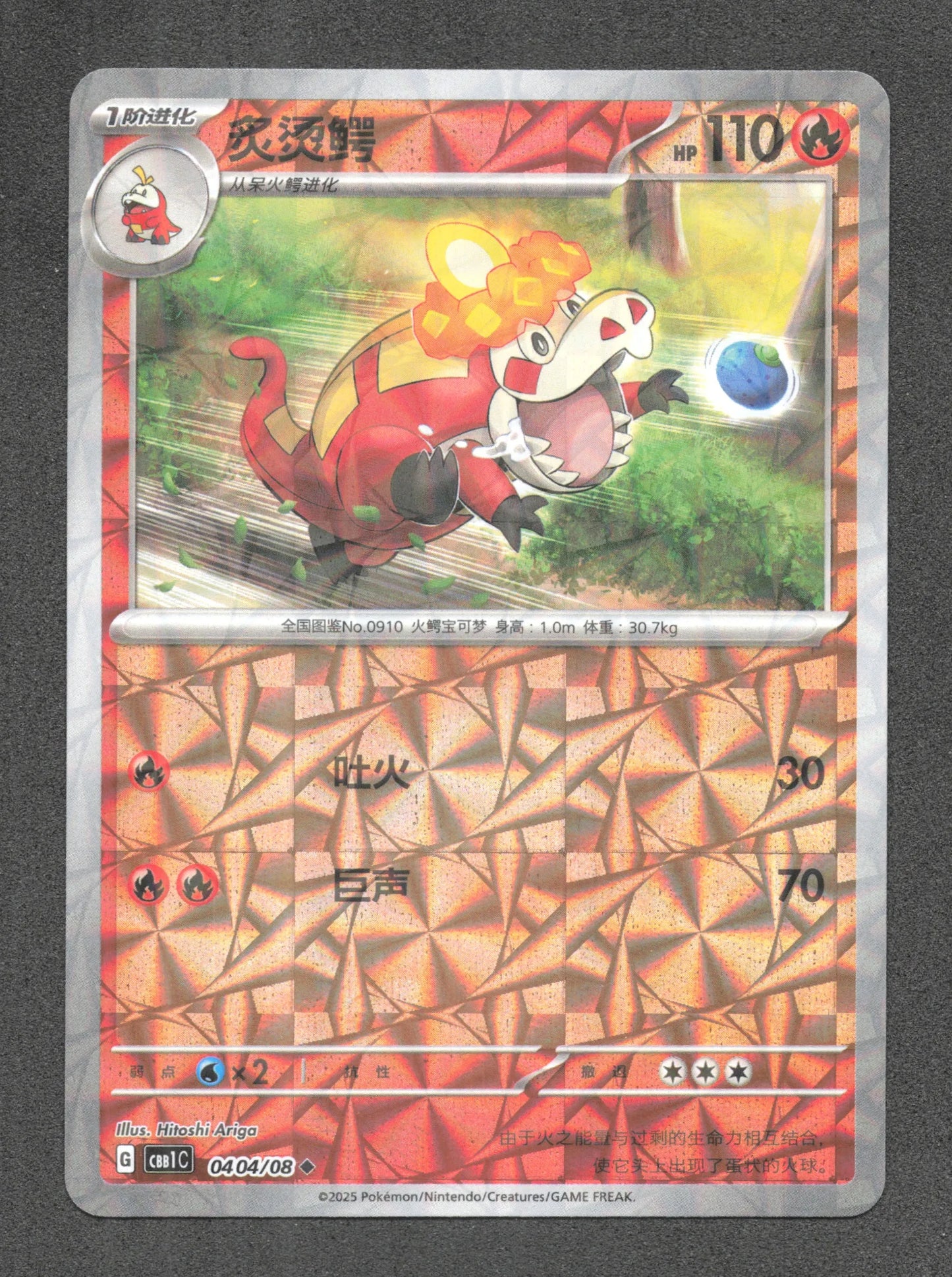 0404/08 Crocogril REVERSE CN - Inconnu