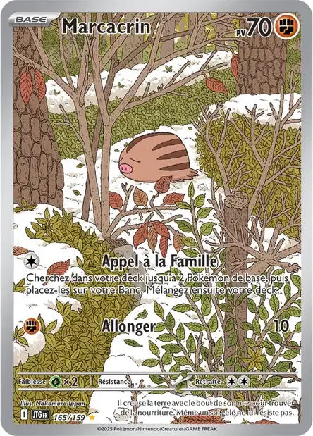 165/159 Marcacrin AR - Aventures Ensemble