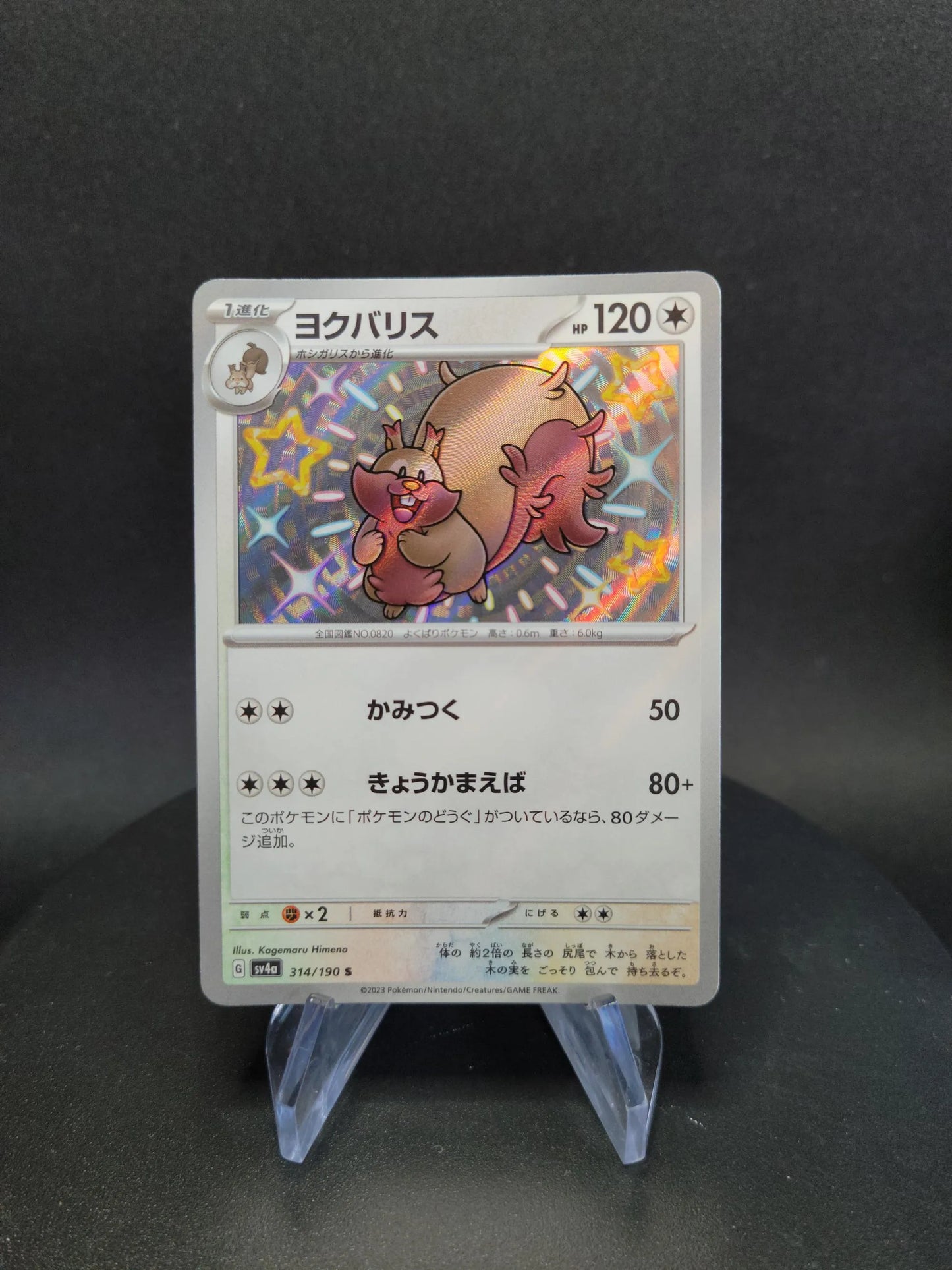 314/190 Rongrigou SHINY JP - Shiny Treasure ex