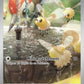 172/162 Bombydou AR - Forces Temporelles