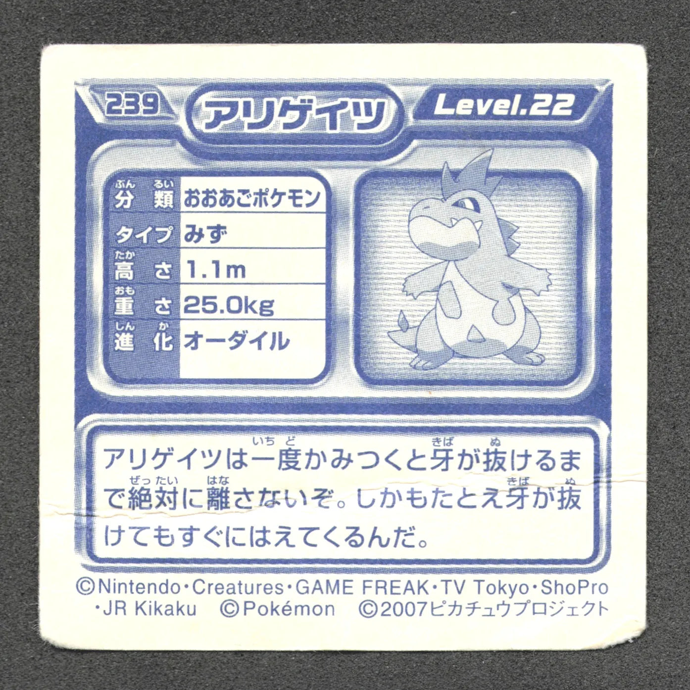 239 Crocrodil STICKER JP - STICKER JP