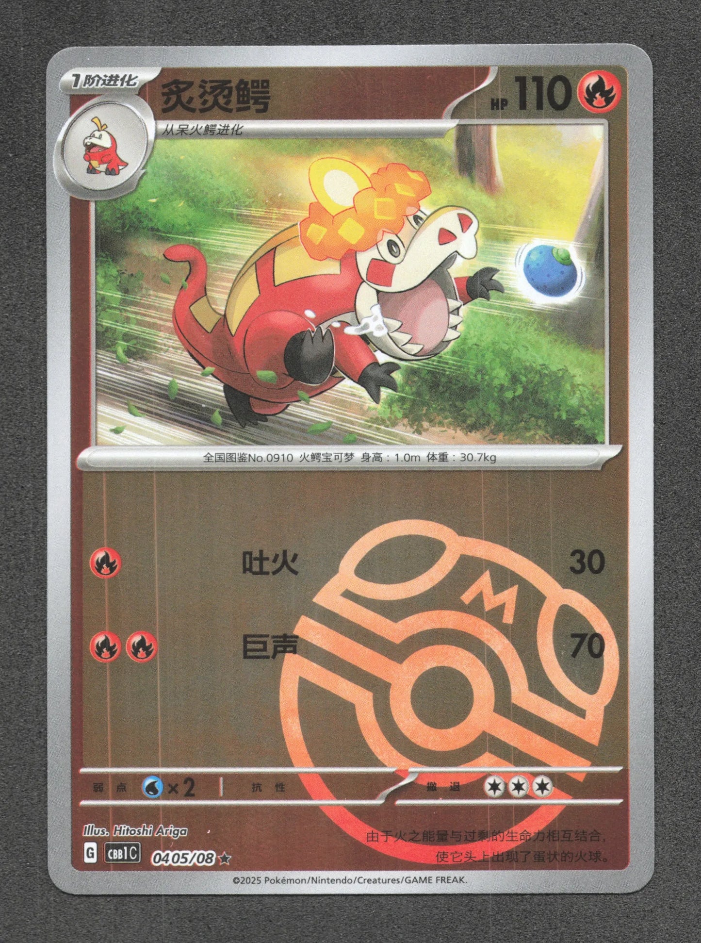 0405/08 Crocogril MASTERBALL CN - Chinois