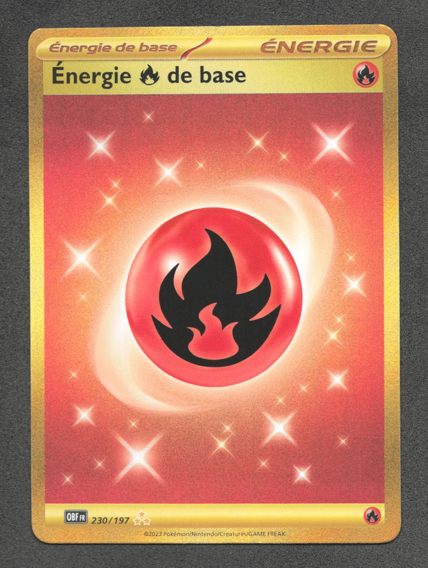 230/197 Energie Feu DRESSEUR - Flammes Obsidiennes