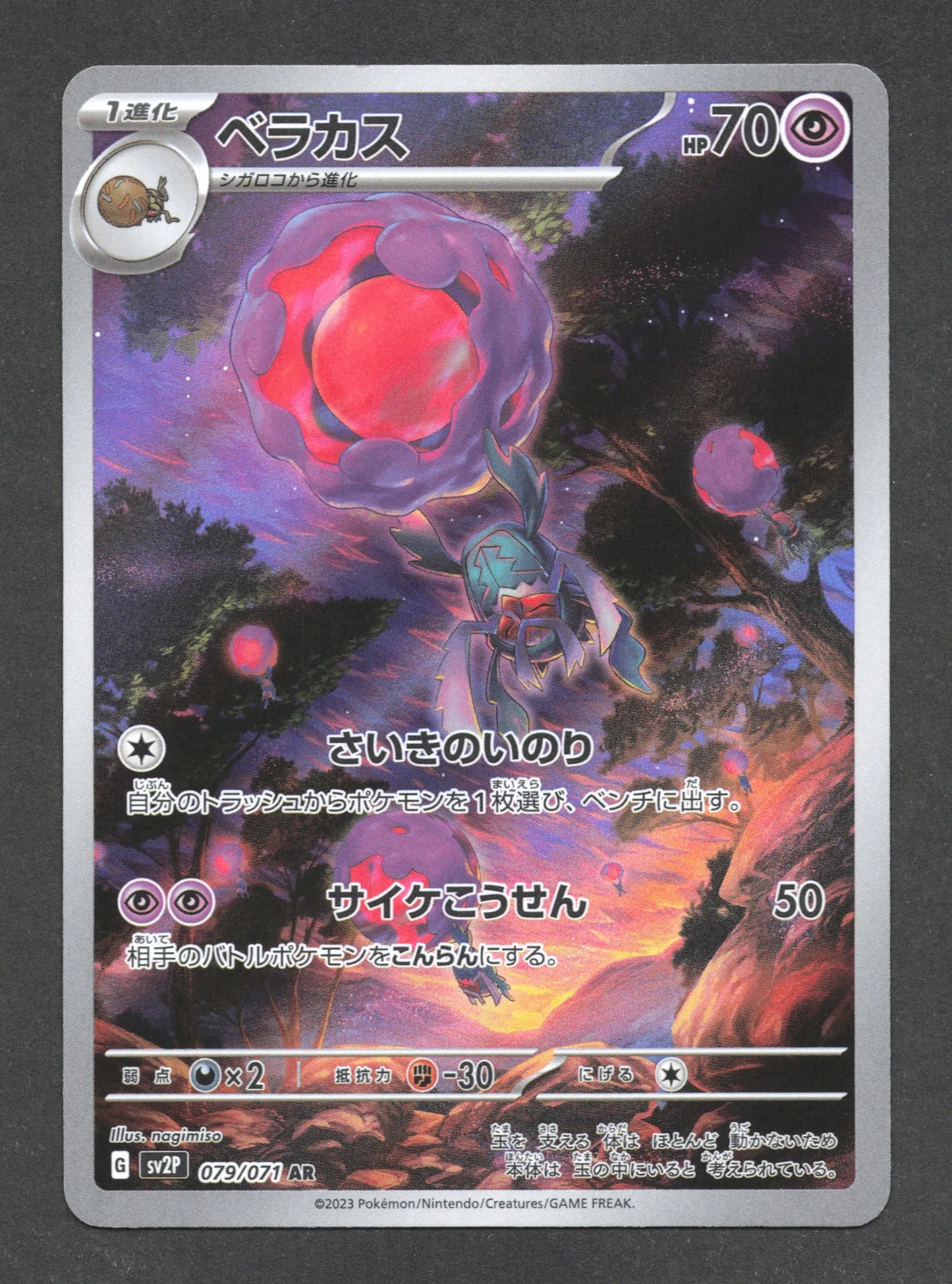 079/071 Berasca AR JP - Snow Hazard