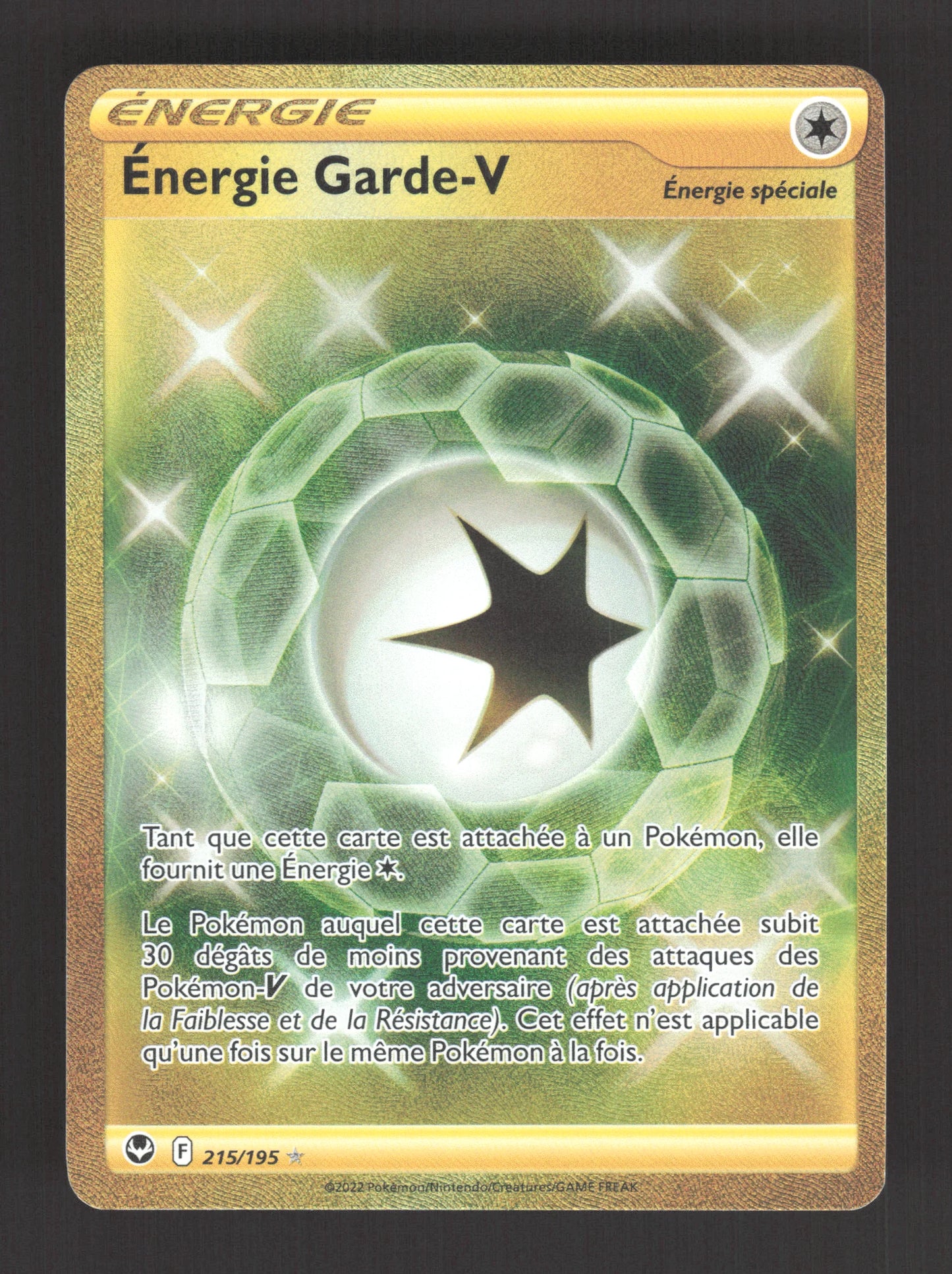 215/195 Energie Garde V DRESSEUR - Tempête Argentée