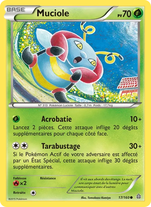 17/160 Muciole REVERSE - Primo-Choc