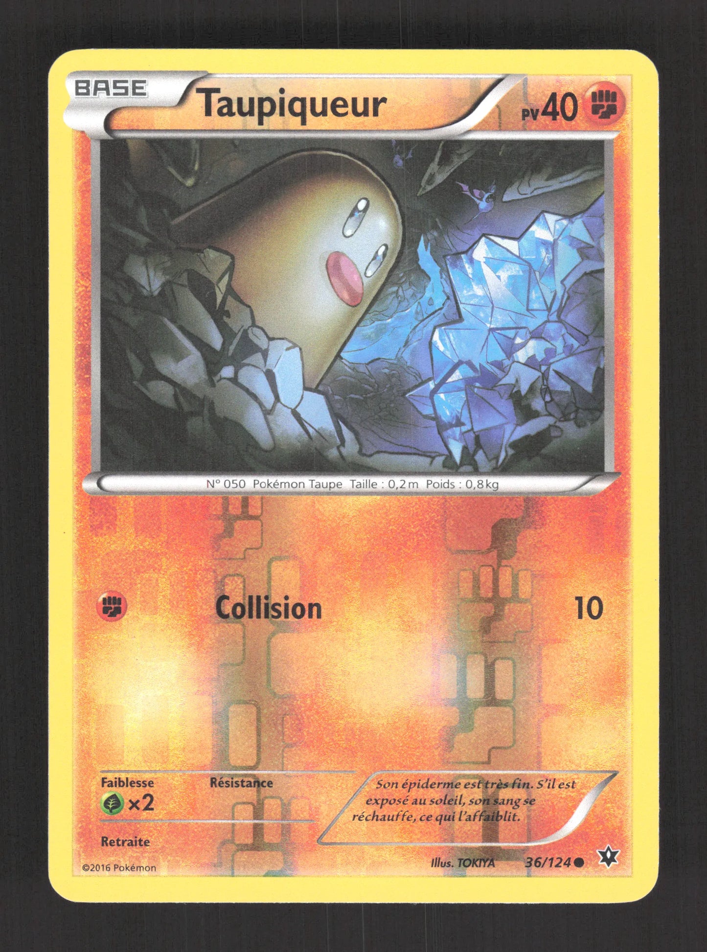 36/124 Taupiqueur REVERSE - Impact des Destins