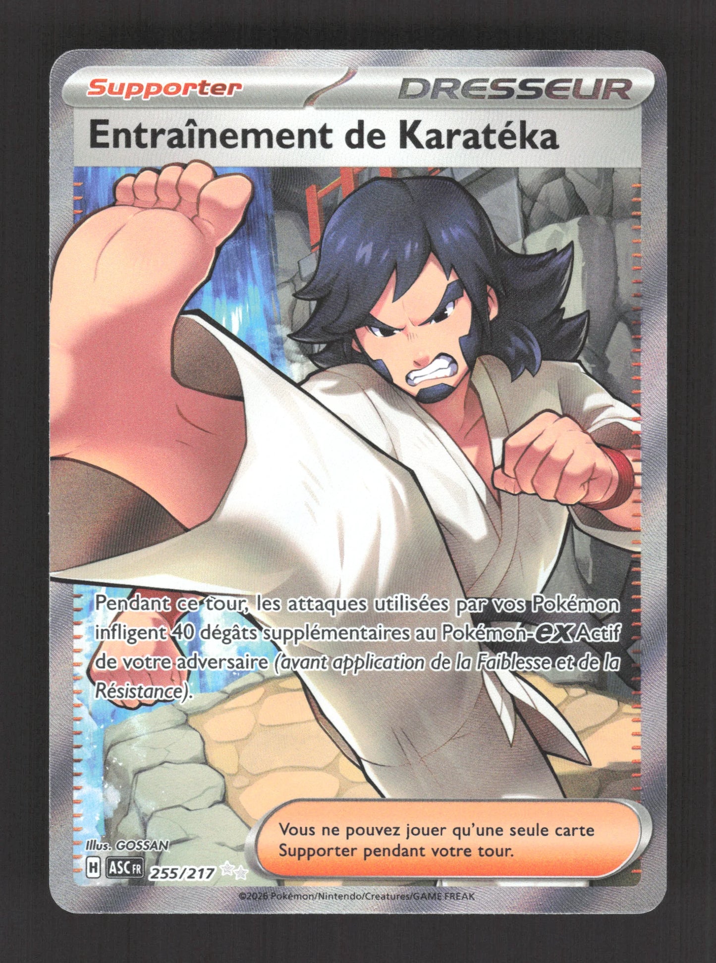 255/217 Entrainement de Karateka DRESSEUR - Héros Transcendants