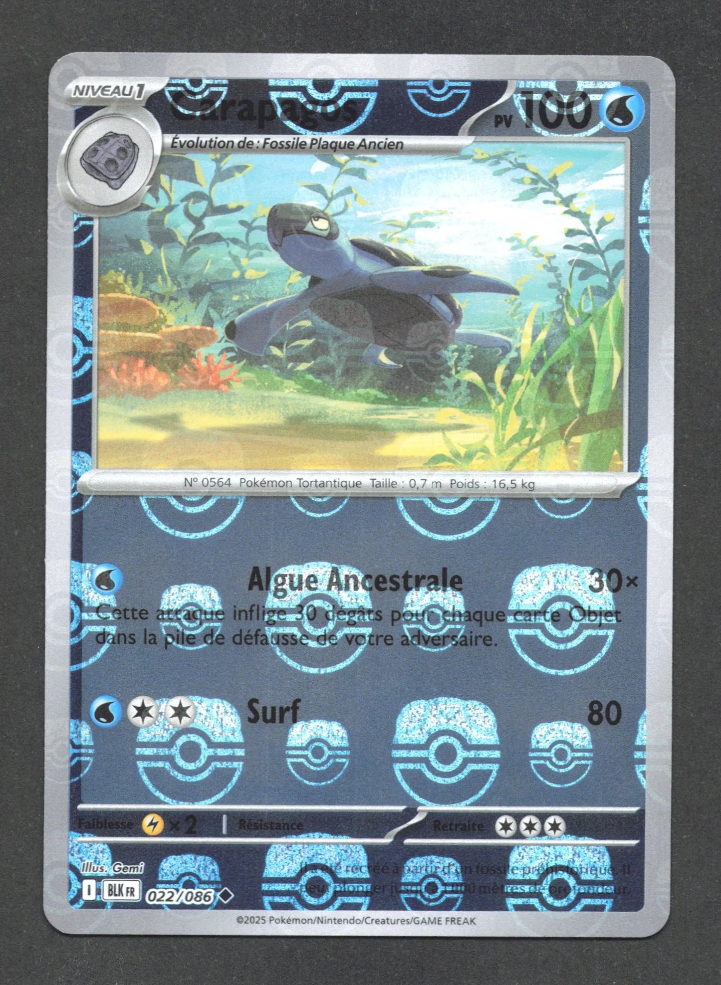 022/086 Carapagos MASTERBALL - Foudre Noire - Masterball
