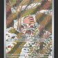 165/159 Marcacrin AR - Aventures Ensemble