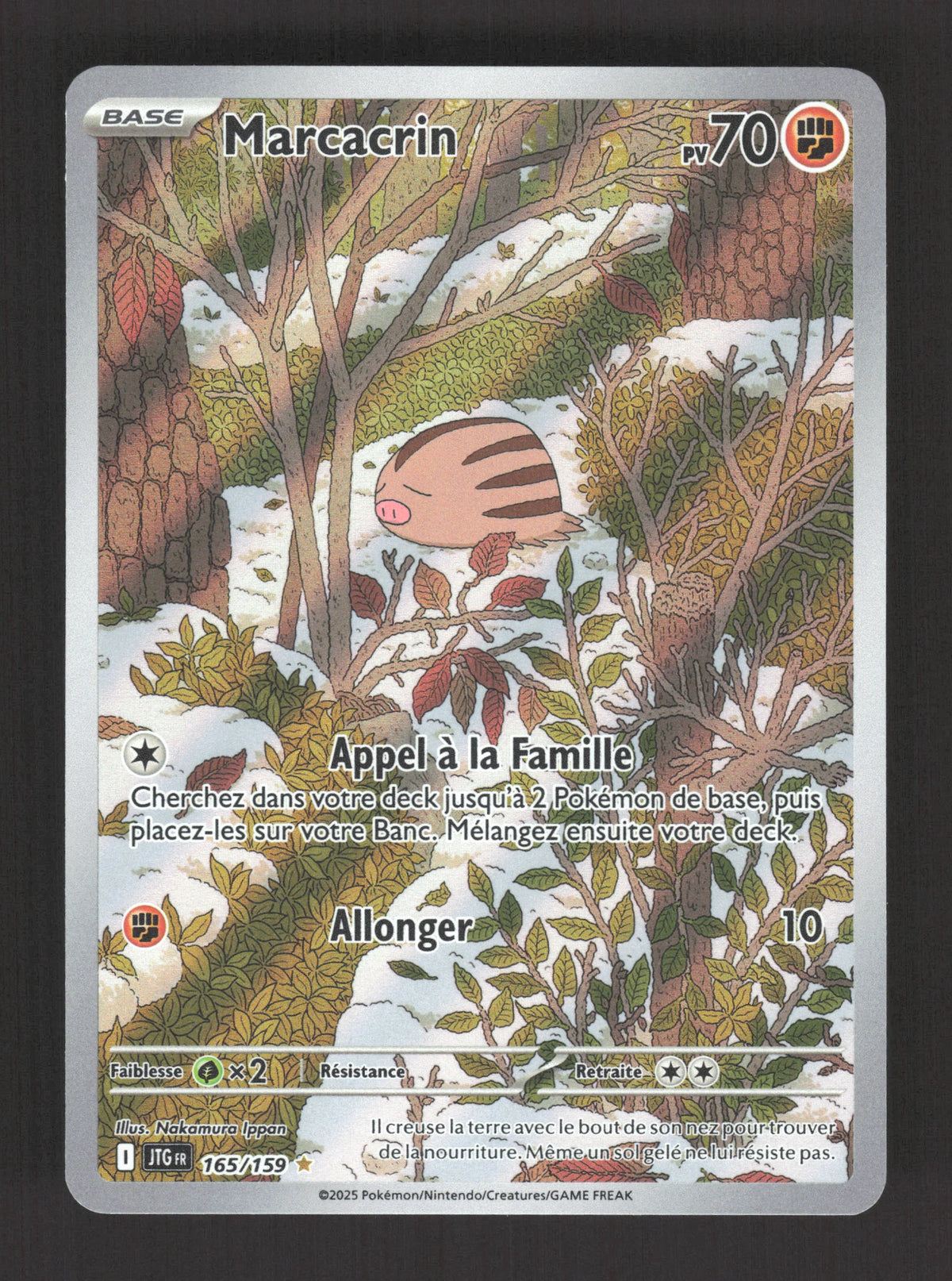 165/159 Marcacrin AR - Aventures Ensemble