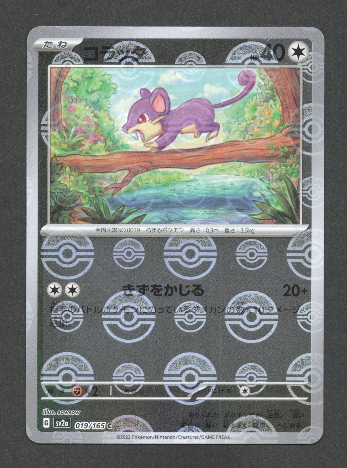019/165 Rattata POKEBALL JP - Pokémon Card 151