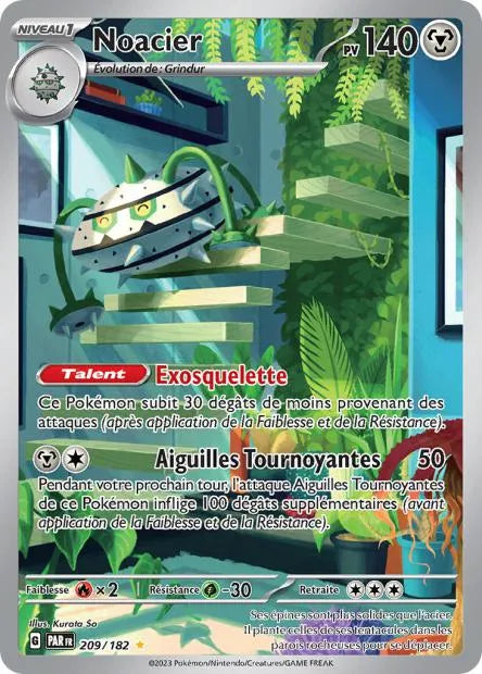 209/182 Noacier AR - Faille Paradoxe