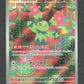 101/100 Maracachi AR JP - Battle Partners